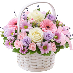 Attractive arrangement of various colorful Flowers