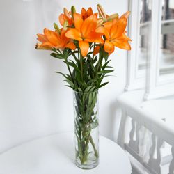 Resplendent Lilies in a Vase