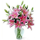 Ravishing Oriental Pink Lilies in Vase