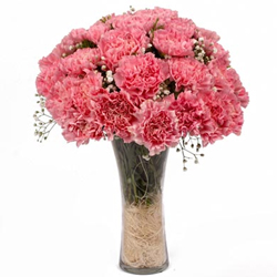 Respledent Pink Carnations with Vase