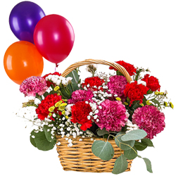 Healthy Wishes Basket of Mixed Carnations with Balloons