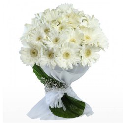 Distinctive Bouquet of White Gerberas with Fillers