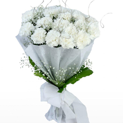 Magical Pursuit of Happiness White Carnations Bunch