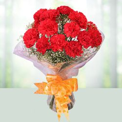 Artful Red Coloured Carnations Bouquet<br>