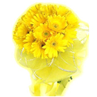 Glorious Bouquet of Sunshine Yellow Gerberas