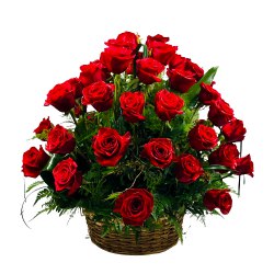 Royal Enchantment Dutch Roses Basket