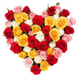 Magical Hearty 30 Mixed Roses for Special Celebration