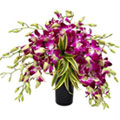 Gorgeous Orchids Display in Glass Vase to Punalur