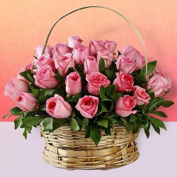 Premium Selection of Pink Coloured Roses