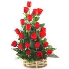 Fresh Beauty of Roses in Red Colour