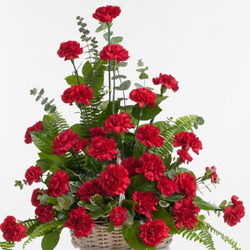 Lovely Unending Passion Presentation of Carnations in Red Colour