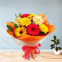 Sprouting Magnetism Gerberas Bouquet to Ambattur
