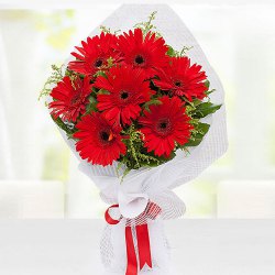 Bustling Beauty Red Gerberas Bouquet to Punalur