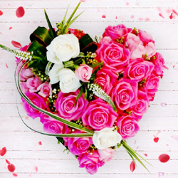 Wonderful Heart of 36 pcs Pink N White Roses to Rajamundri