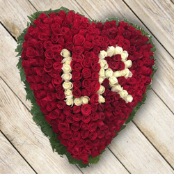 Red Roses Heart (100 Roses Alphabet Catalogue) to Rajamundri