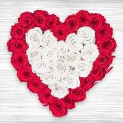 Fantastic Heart Shaped Arrangement of Red n White Roses to Perintalmanna