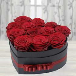 Amusing Love Box of Dutch Roses to Rajamundri