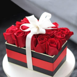 Mesmerizing Red Roses Box Tied with White Ribbon to Tirur