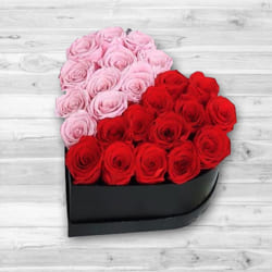 Alluring Pink n Red Roses Hearty Box to Karunagapally
