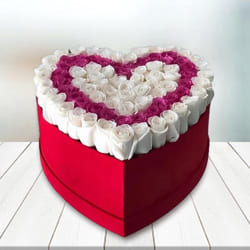 Marvelous Heart Box of Twin Color Roses to Rajamundri