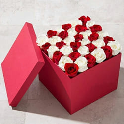 Luxurious Red Box of Red n White Roses to Muvattupuzha