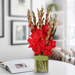 Mesmerizing Red Gladiolus in a Glass Vase to Tirur