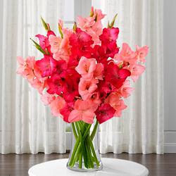Delicate Pinkish Delight Gladiolus in a Glass Vase to Perintalmanna