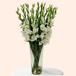 Mesmerizing White Gladiolus in a Glass Vase to Tirur