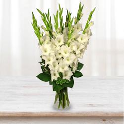 Artistic Display of White Gladiolus in a Glass Vase to Perintalmanna