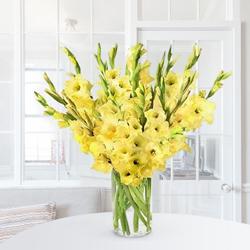 Amazing Yellow Gladiolus in a Glass Vase to Tirur