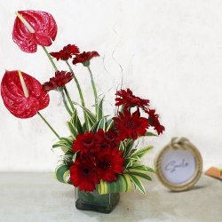 Marvelous Arrangement of Red Gerbera n Anthurium in Glass Vase to Rajamundri