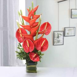 Amusing Red Anthurium with BOP Arrangement in a Glass Vase to Punalur