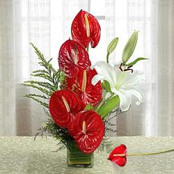 Exotic Anthurium n Lilies in a Glass Vase to Muvattupuzha