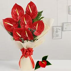 Beautiful Bouquet of Red Anthodium with Tissue Wrap to Rajamundri