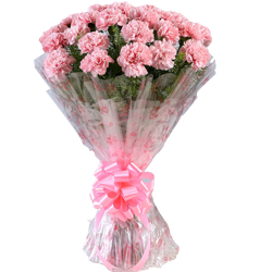 Send Online this good looking Hand Bunch of Pink Carnations