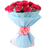 Send Online this lovely Bunch of Pink Carnations in a tissue wrapping