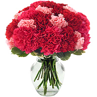 Deliver this petite arrangement of Red & Pink Carnations in a glass vase