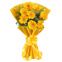 Beautiful Bouquet of Yellow Color Gerberas
