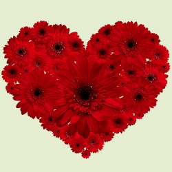 Gorgeous Heart Shaped Arrangement of Red Gerberas
