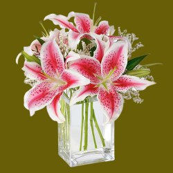 Mesmerizing Glass Vase display of Pink Lilies
