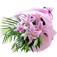 Delicate Pink Color Lilies Bunch
