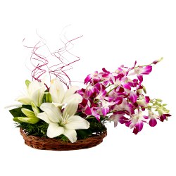 Artistic Basket Arrangement of Orchids with White Lilies