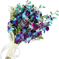 Magnificent Blue Orchids Hand Bunch