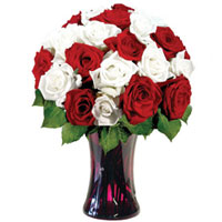 Glorious Red & White Roses in a Glass Vase 
