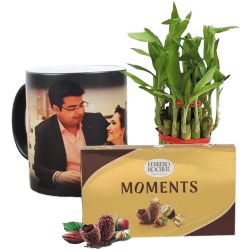 Amusing Personalized Photo Magic Mug with Ferrero Rocher N Bamboo Plant to Alwaye