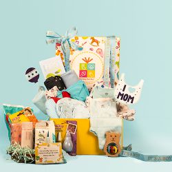 Exclusive New Born Baby Boy Summer Hamper to Punalur