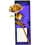 Wonderful Golden Rose Stick to Marmagao