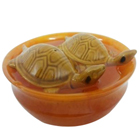 Exclusive Fengshui Bowl with  Tortoise to Tirur
