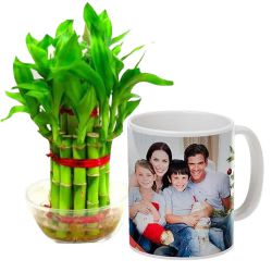 Exclusive Personalized Coffee Mug with Two Tier Bamboo Plant to Punalur