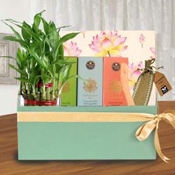 Healthy Healing Gift Combo for Mother to Rajamundri